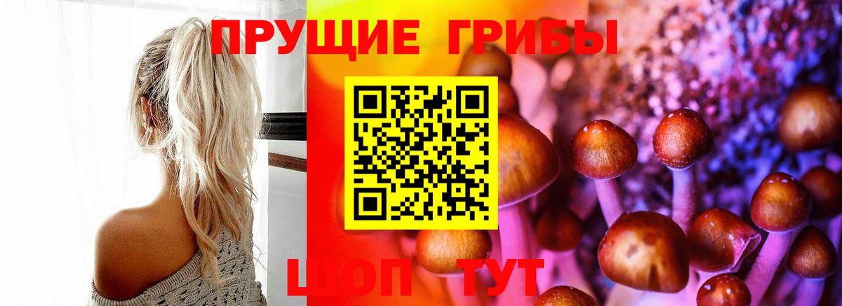 Псилоцибиновые грибы ЛСД  цены наркотик  Гай  Вход с VPN 
